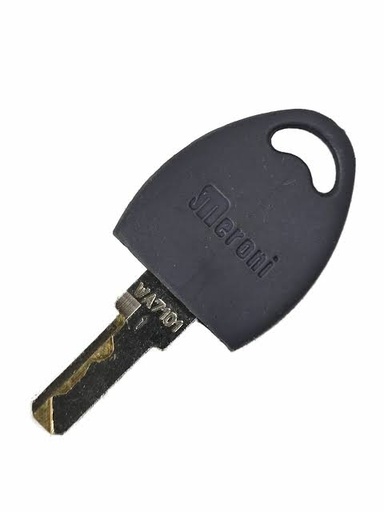 [11297] CLÉ GRISE P/ HYKE + MOSE + MBAR NICE - WA7104