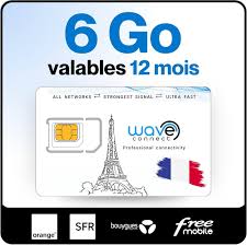 CARTE SIM DATA PRÉPAYÉE, 6 Go ou 12 Mois - WAVE CONNECT 
